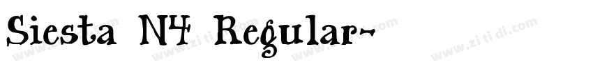 Siesta N4 Regular字体转换